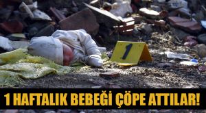 300x128943_BEBEK_2.jpg