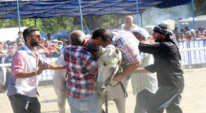 İsmail Türüt ata binerse.