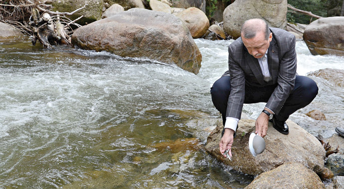 alabalık yavru fiyatı