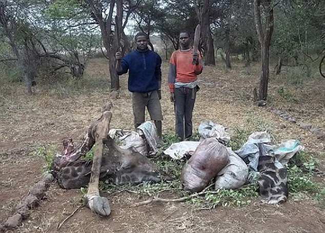 Herşey 47 dolar için Herşey 47 dolar için