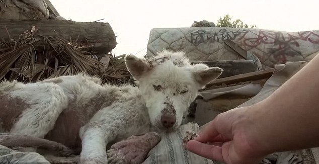 İnanılmaz değişim İnanılmaz değişim