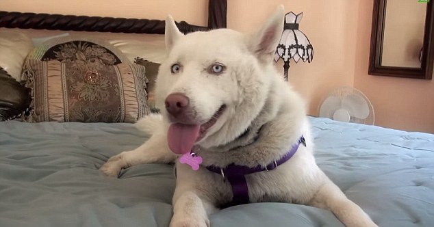 İnanılmaz değişim İnanılmaz değişim