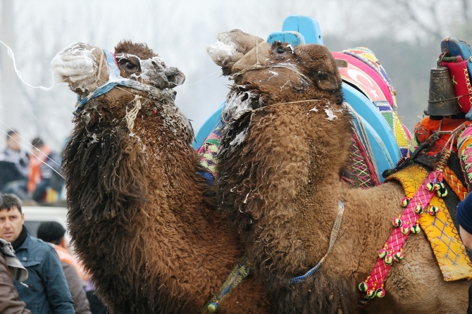 Demba Ba Arena'da boy gösterdi Demba Ba Arena'da boy gösterdi