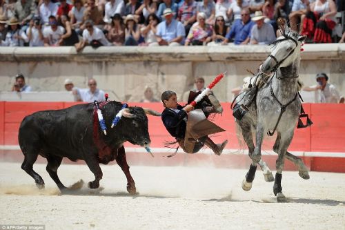 Kadın matadordan vahşi gösteri Kadın matadordan vahşi gösteri