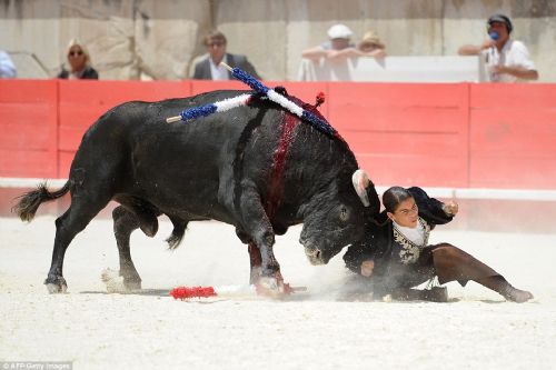 Kadın matadordan vahşi gösteri Kadın matadordan vahşi gösteri