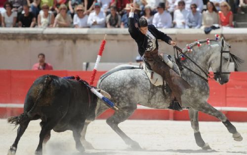 Kadın matadordan vahşi gösteri Kadın matadordan vahşi gösteri