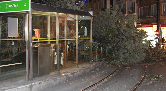 Tramvay yoluna ağaç devrildi: 3 yaralı Tramvay yoluna ağaç devrildi: 3 yaralı