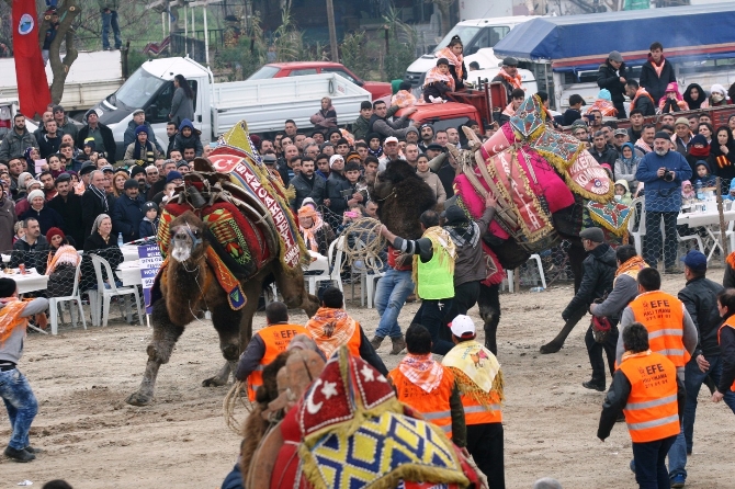 Demba Ba Arena'da boy gösterdi Demba Ba Arena'da boy gösterdi