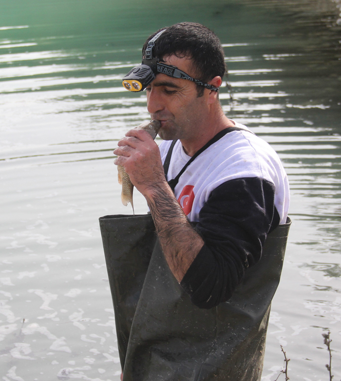 Yumurtlamak için girdikleri kanalda mahsur kaldılar Yumurtlamak için girdikleri kanalda mahsur kaldılar