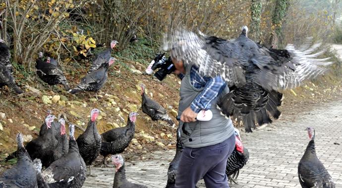 Kameramanın zor anları Kameramanın zor anları