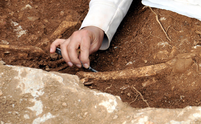 Bodrum kazılarından tarih fışkırdı Bodrum kazılarından tarih fışkırdı