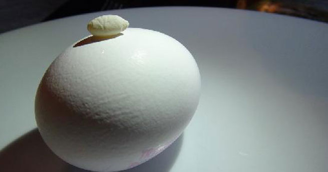 Yumurtanın içinden çıkan hayrete düşürdü Yumurtanın içinden çıkan hayrete düşürdü