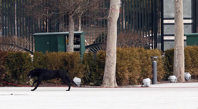 Karşılaşma töreninde siyah köpek paniği Karşılaşma töreninde siyah köpek paniği