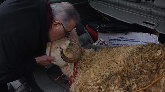 Milletvekili Ensar Öğüt meclise koç ile geldi Milletvekili Ensar Öğüt meclise koç ile geldi