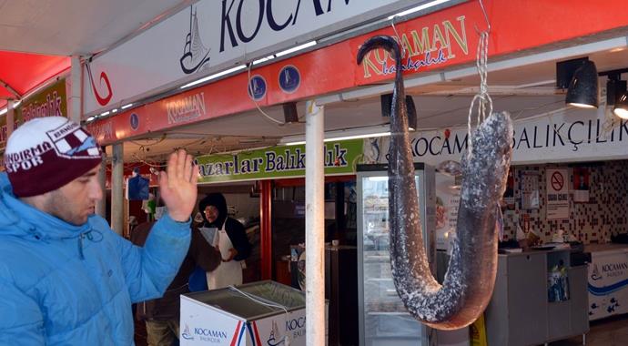 Herkes piton sandı ama alakası yok! Herkes piton sandı ama alakası yok!