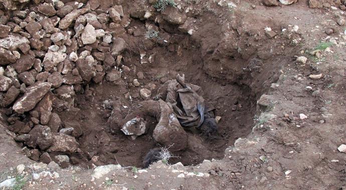 Şanlıurfa'da çobanlar toprağa gömülü 2 ceset buldu Şanlıurfa'da çobanlar toprağa gömülü 2 ceset buldu