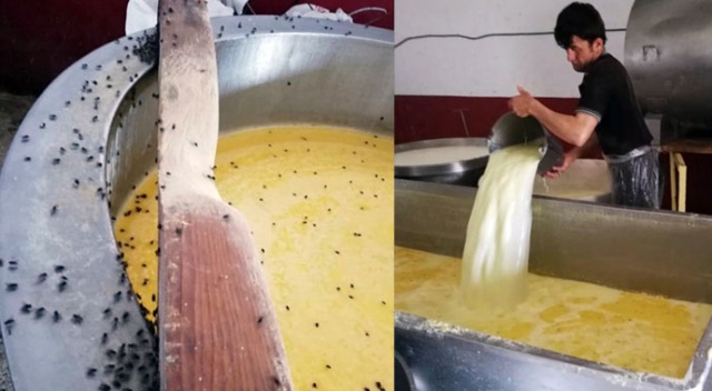 KaÅar peyniri imalathanesine baskÄ±n ile ilgili gÃ¶rsel sonucu