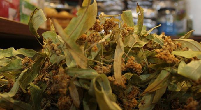 Ihlamur altınla yarışıyor