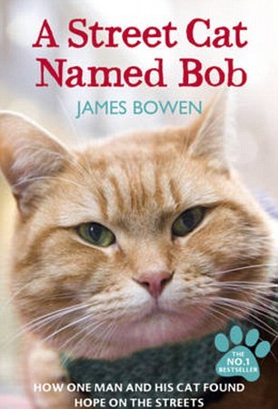 Sokak kedisi Bob Sokak kedisi Bob