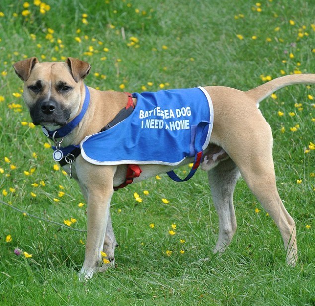 5.000 kadar kişi tarafından reddedildi 5.000 kadar kişi tarafından reddedildi