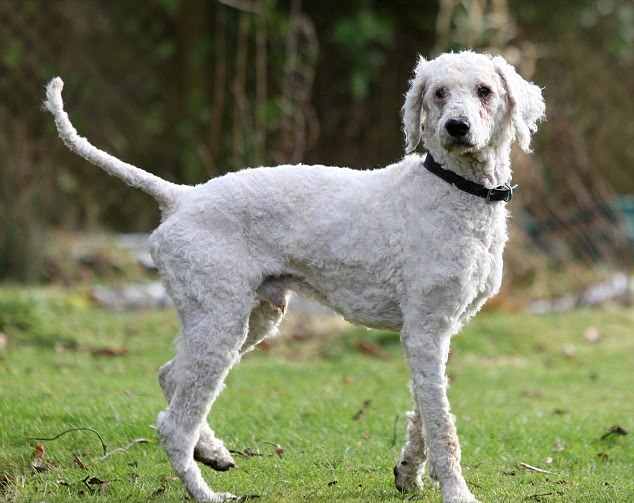 2 haftada büyük bir değişim geçirdi 2 haftada büyük bir değişim geçirdi