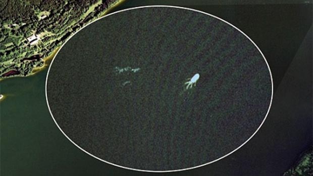 Canavar kütük çıktı! Canavar kütük çıktı!