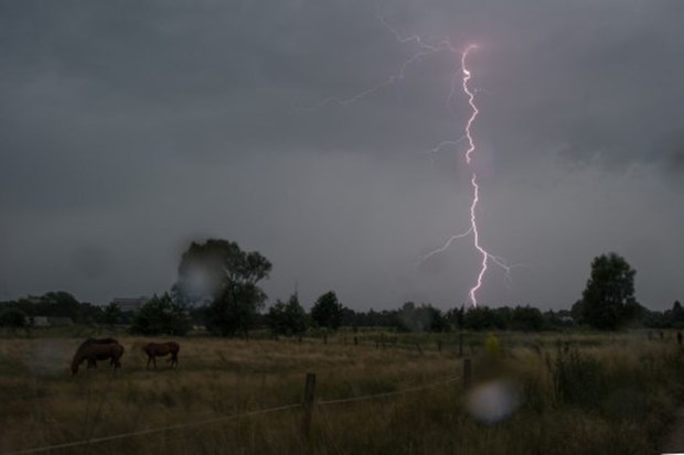 Almanya'da rekor hava sıcaklığı Almanya'da rekor hava sıcaklığı