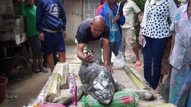 Dünya bu hayvanı konuşuyor