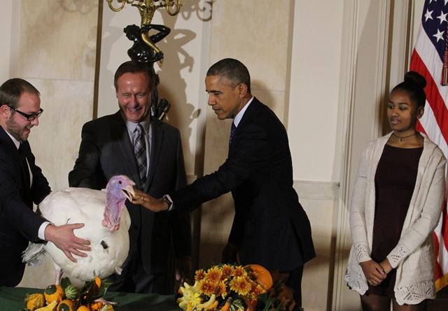 Londra'da Ferguson protestosu Londra'da Ferguson protestosu