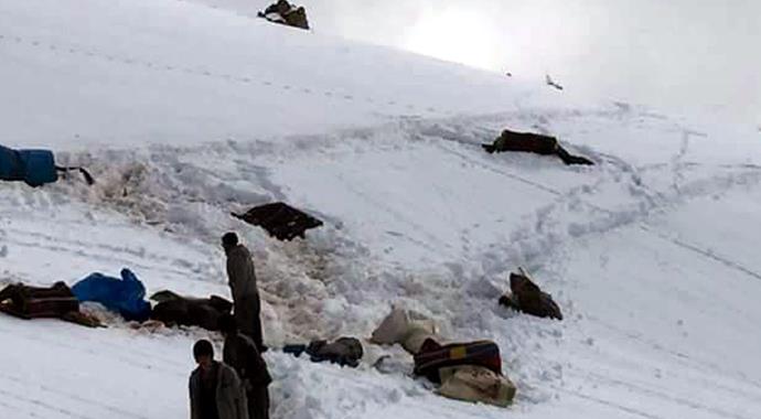 Uludere'de katırlara infaz! Uludere'de katırlara infaz!