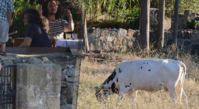 Nurgül Yeşilçay ev satın aldı! Nurgül Yeşilçay ev satın aldı!