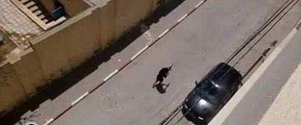 Tunus'ta otele saldırı: 37 kişi hayatını kaybetti