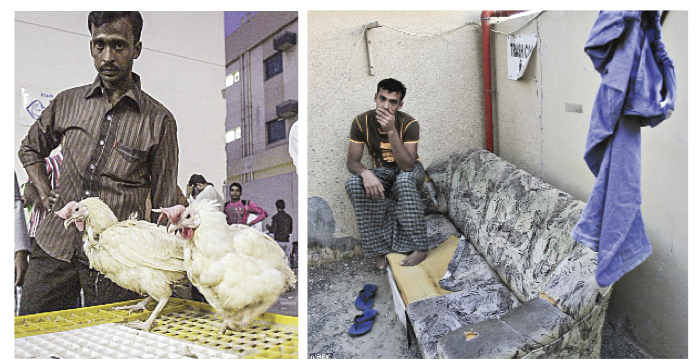 Rüyalar ülkesi Dubai'de hiç alışılmadık manzaralar... Rüyalar ülkesi Dubai'de hiç alışılmadık manzaralar...