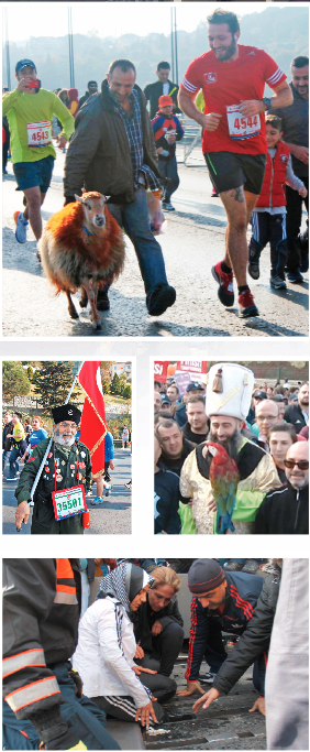 İstanbul şenliği İstanbul şenliği