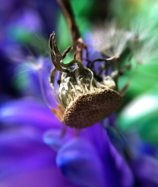 Apple'dan Samsung'a cevap