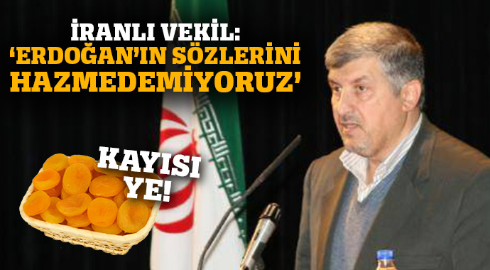 Teröristlere kol kanat geren İran'dan küstah cevap! Teröristlere kol kanat geren İran'dan küstah cevap!