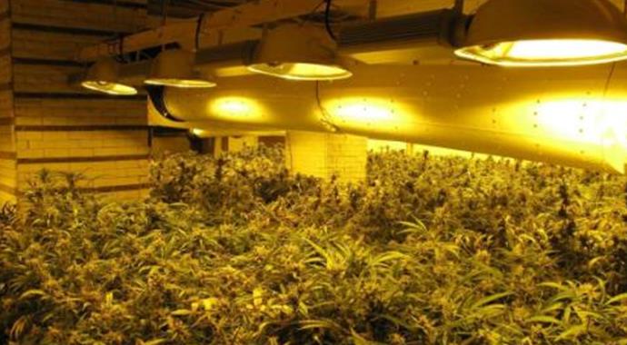 Hollanda polisi: 'Çatısında kar olmayan evleri ihbar edin' Hollanda polisi: 'Çatısında kar olmayan evleri ihbar edin'