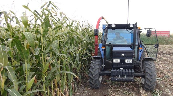 Bakanlık'tan çiftçiye müjde