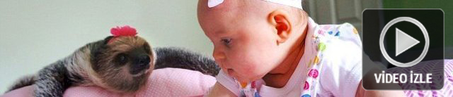 Karşınızda sıkı dostlar! Karşınızda sıkı dostlar!