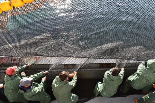 Abdullah Gül balık avına çıktı Abdullah Gül balık avına çıktı