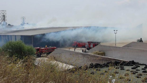 Aziz Yıldırım'ın kardeşine ait çiftlik yandı Aziz Yıldırım'ın kardeşine ait çiftlik yandı