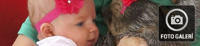 Karşınızda sıkı dostlar! Karşınızda sıkı dostlar!