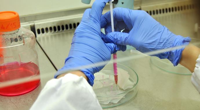 Kanser ilacı geliştirme çalışmalarına 'çipli' destek Kanser ilacı geliştirme çalışmalarına 'çipli' destek