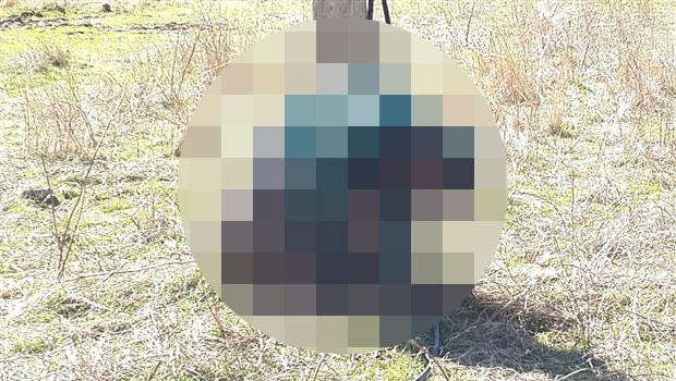 Telefon direğinde kurşuna dizilen kişi köy korucusu çıktı Telefon direğinde kurşuna dizilen kişi köy korucusu çıktı
