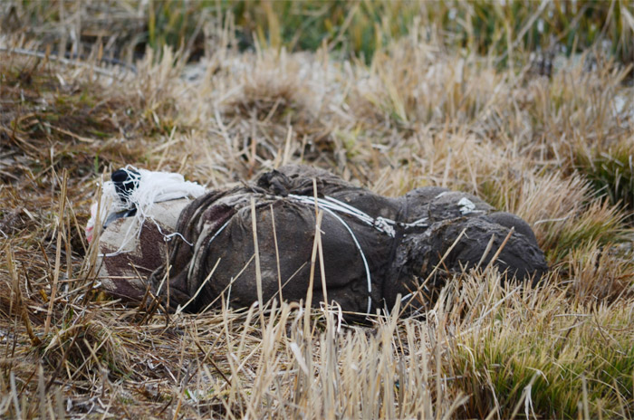 Hakkari'de kan donduran cinayet