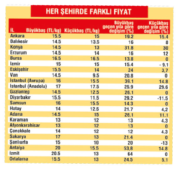 Kurbanlık fiyatları belli oldu
