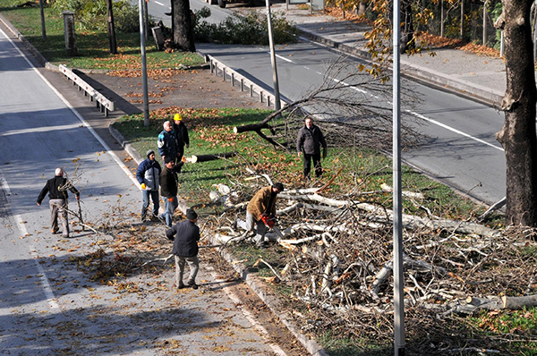 Geziciler Yalova'da 3 maymunu oynuyor Geziciler Yalova'da 3 maymunu oynuyor