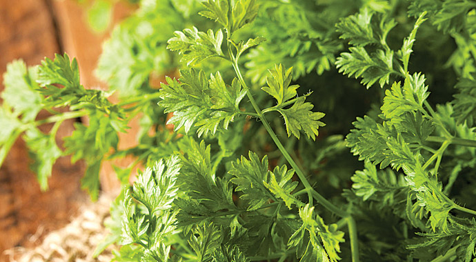 7 kişiden biri böbrek hastası!.. 7 kişiden biri böbrek hastası!..