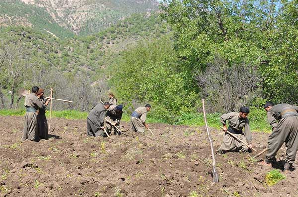 Bu fotoğrafı gören şaştı kaldı!