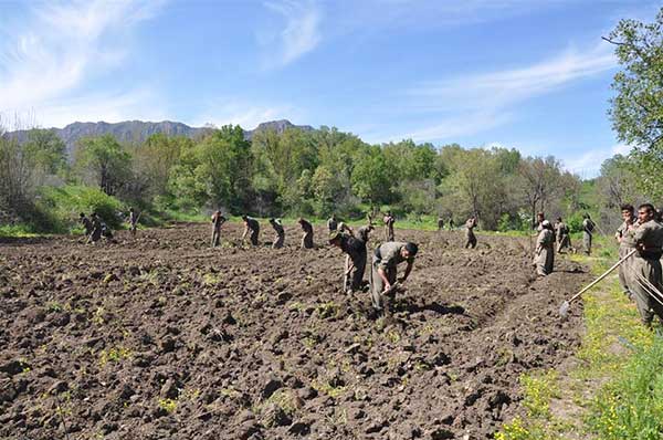 Bu fotoğrafı gören şaştı kaldı!